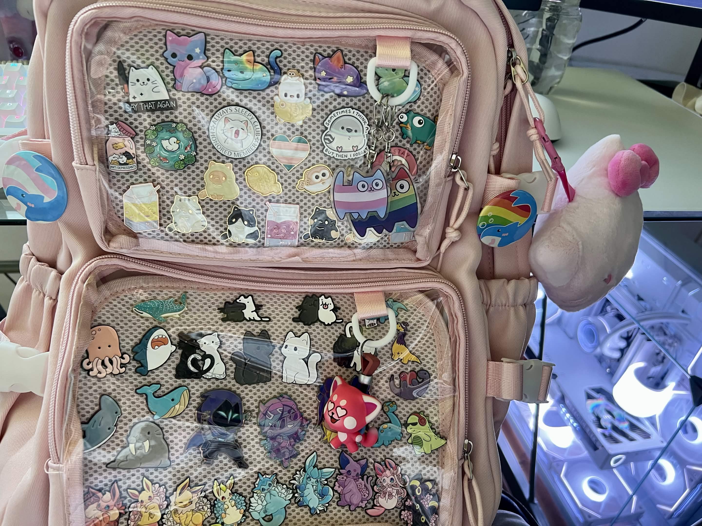 display backpack